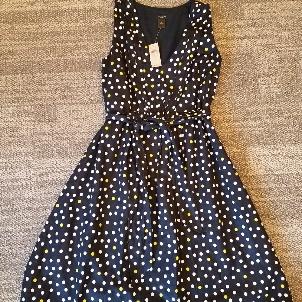 Ann Taylor Navy Polka Dot Fit & Flare Dress NWT 2